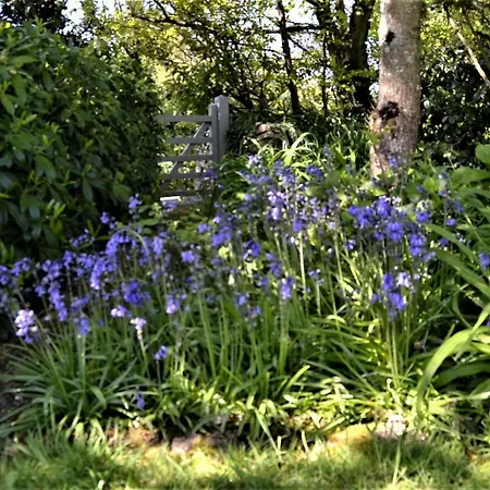 Bed & Breakfast Brookfields