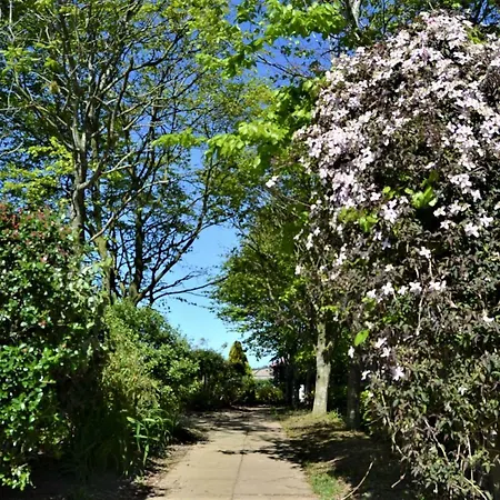 Brookfields Bed & Breakfast Wadebridge